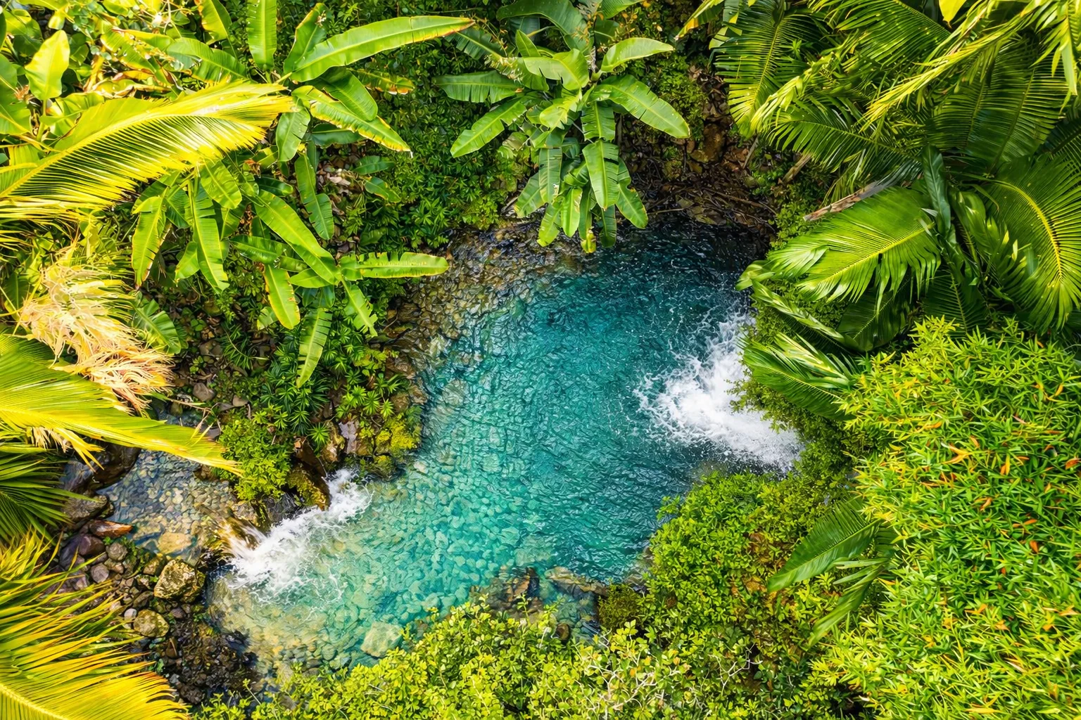 Tropical waterfall lagoon